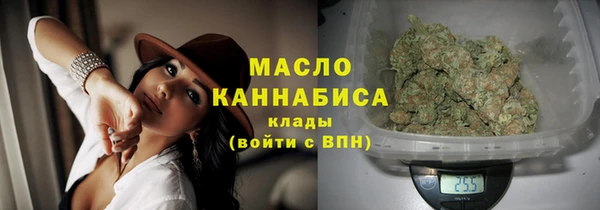 твердый Заводоуковск