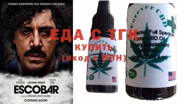 твердый Заводоуковск