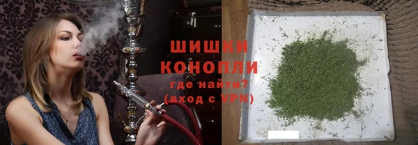 твердый Заводоуковск