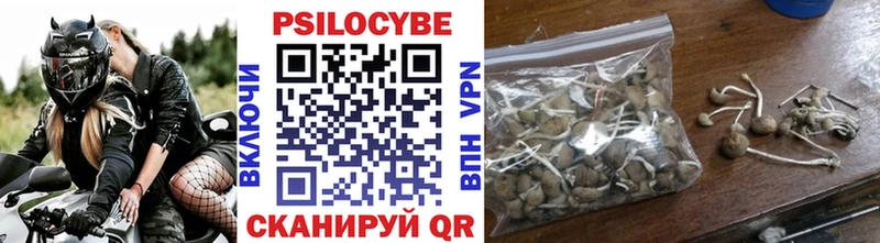 Псилоцибиновые грибы мицелий  Северо-Курильск 